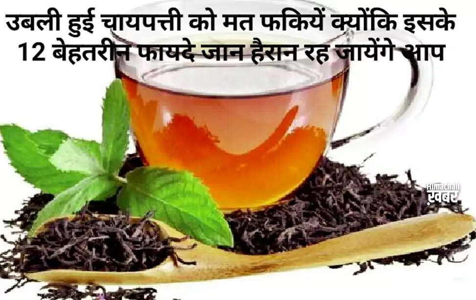 12 Surprising Uses for Leftover Tea Leaves at Home