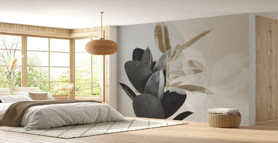 Vastu Shastra: Items to Avoid for a Harmonious Home