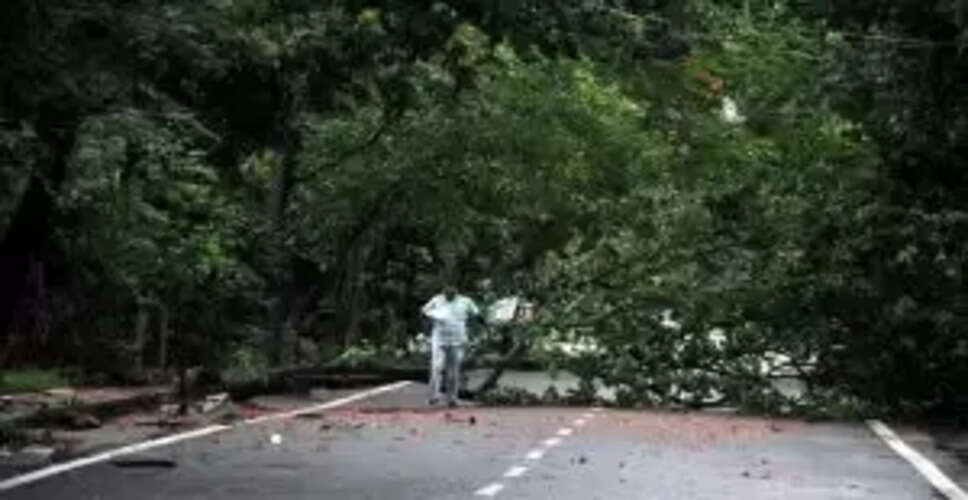 Bhubaneswar Faces Aftermath of Heavy Rain: Uprooted Trees and Bakrid Preparations