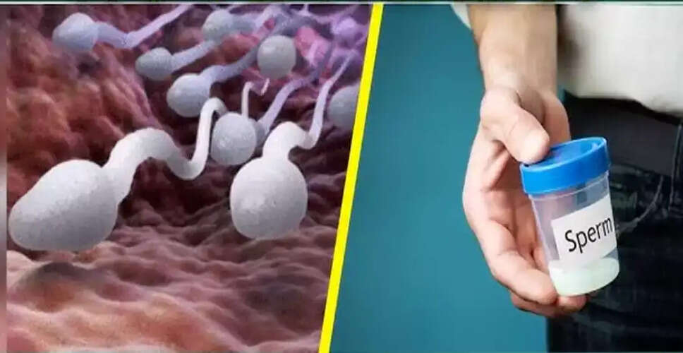 How Selling Sperm Can Be a Lucrative Income Source