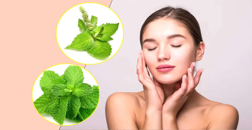 Natural Skincare Solutions for Summer: Harnessing the Power of Tulsi