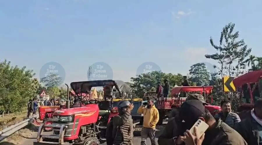 Potato Farmers in Sadiya Stage Major Protest for Fair Prices