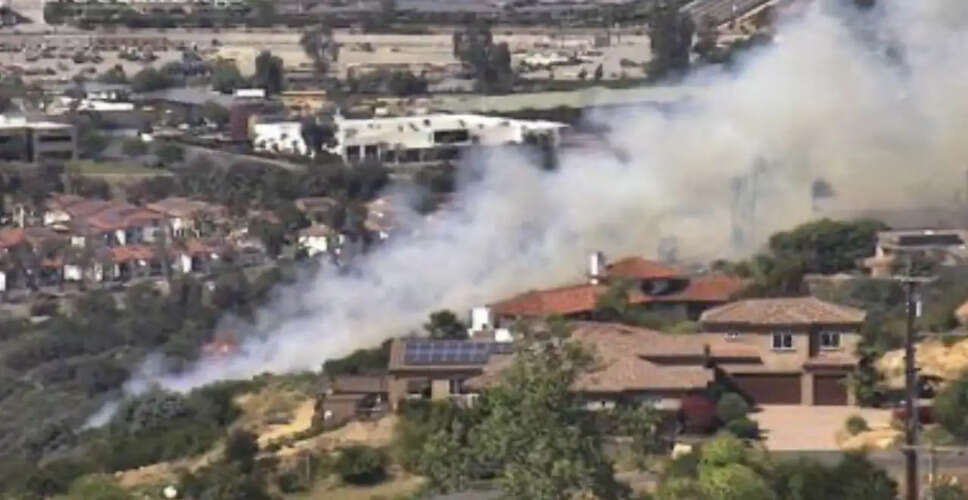 Brush Fire Near California State University San Marcos Contained
