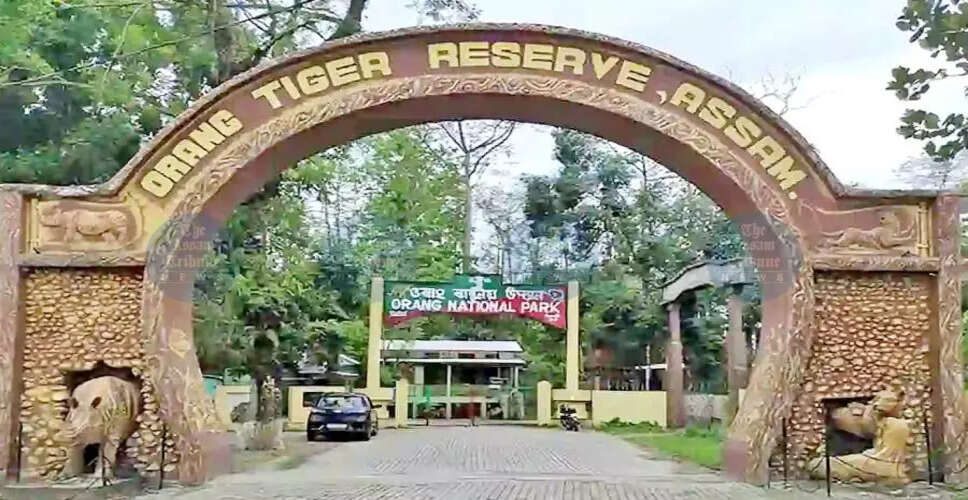 Funding Crisis Threatens Tiger Reserves in Assam