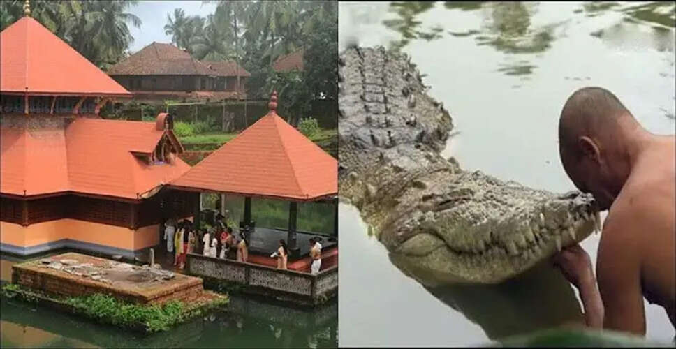 The Unique Vegetarian Crocodile of Kerala's Padmanabhaswamy Temple