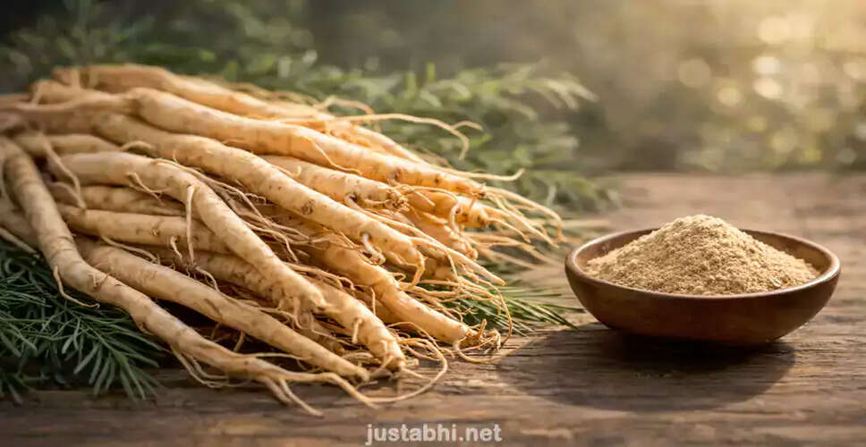 The Benefits of Shatavari: An Ayurvedic Wonder Herb