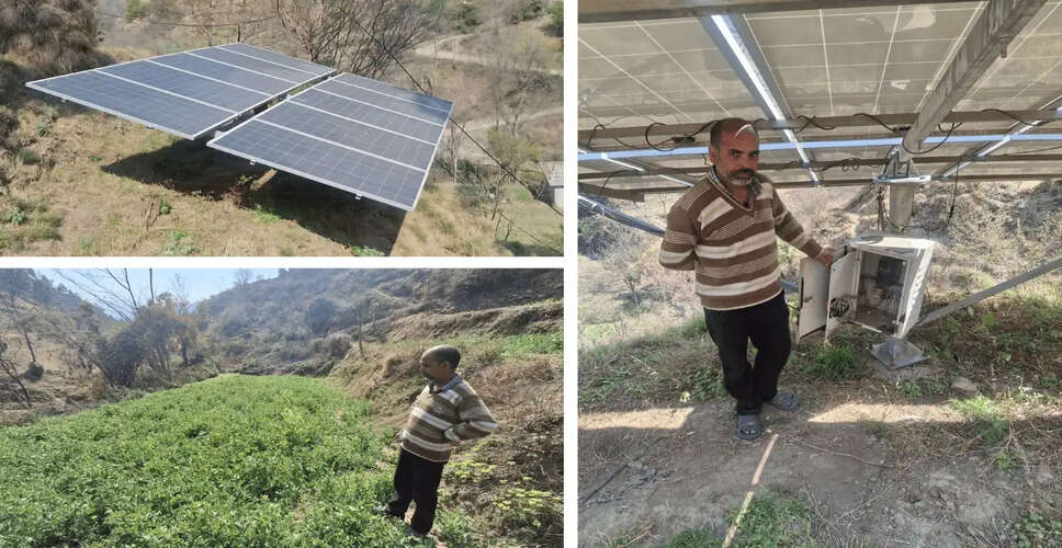 Innovative Farmer in Mandi District Thrives with Solar-Powered Irrigation