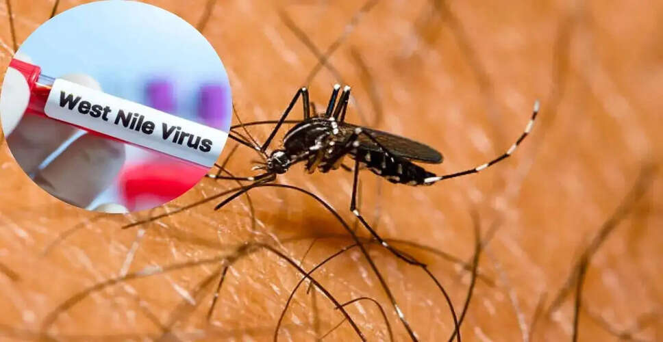 Kerala on High Alert After West Nile Fever Deaths: Key Information and Prevention Tips