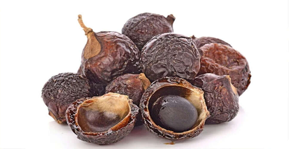 रीठा: बवासीर और अन्य रोगों के लिए अद्भुत औषधि