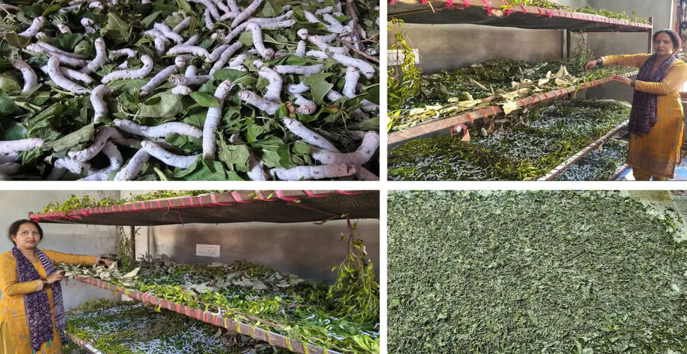 Empowering Women in Sarkaghat: The Rise of Sericulture for Economic Independence