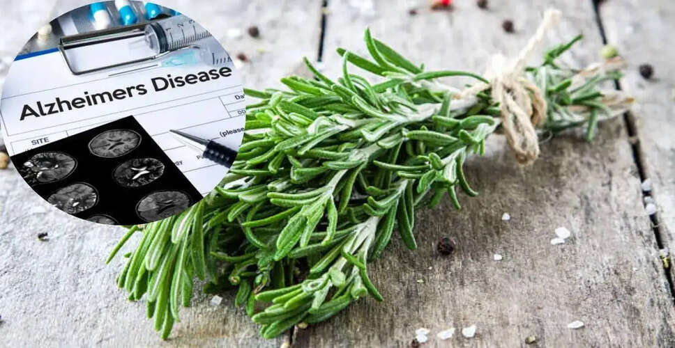 Unlocking the Health Benefits of Rosemary: A Natural Ally for Brain Health