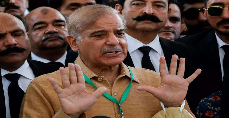 Bail Granted to Shehbaz Sharif's Daughter in Corruption Case