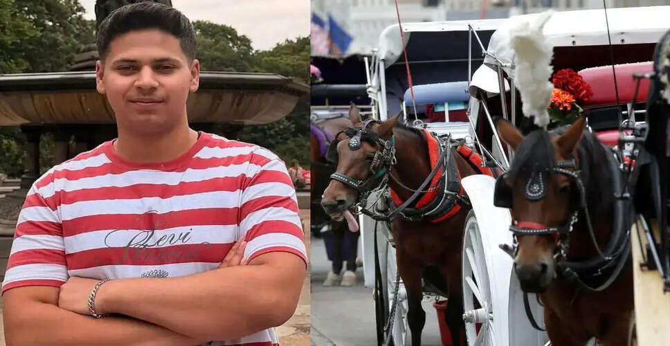 Tragic Incident in Central Park: Indian Tourist Dies After Horse Carriage Accident