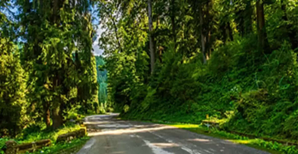 Discovering Nature's Retreats in Korba: A Breath of Fresh Air