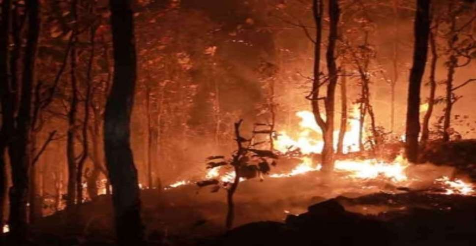 TN reported 217 forest fires since Feb 1; Kodaikanal, Vellore top chart