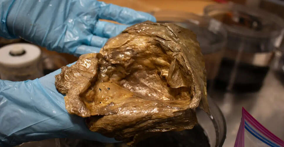 Mysterious Golden Orb Discovered in Gulf of Alaska Identified as Deep-Sea Anemone