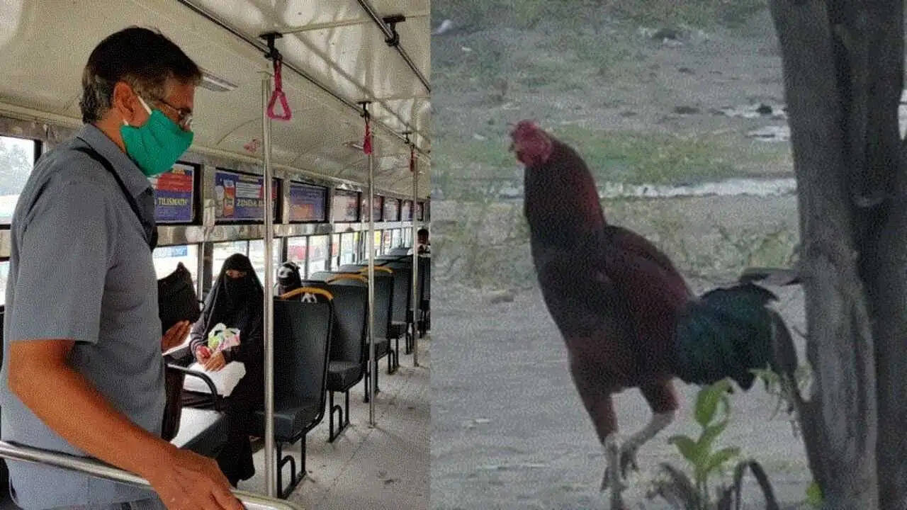 Bus Conductor Issues Ticket for Rooster in Telangana