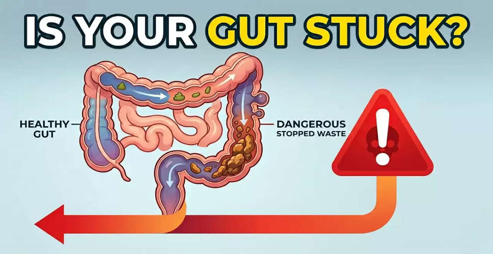 Understanding the Impact of Gut Transit Time on Health