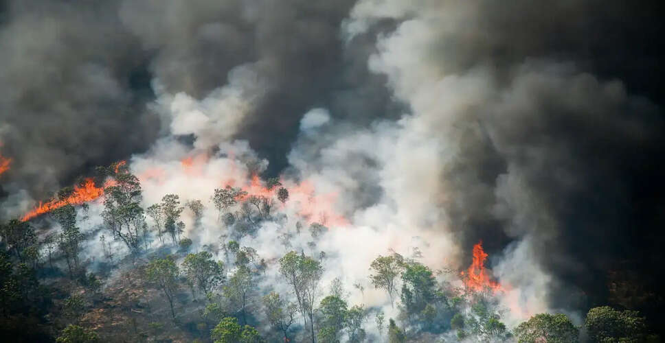 Brush Fire in Jurupa Valley Consumes 15 Acres Amidst Challenging Conditions