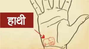 हाथ की रेखाओं में छिपे भाग्य के संकेत