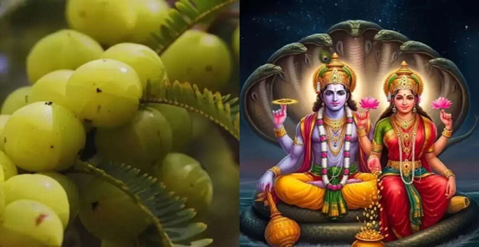 Significance of Amla Navami: Auspicious Practices and Rituals
