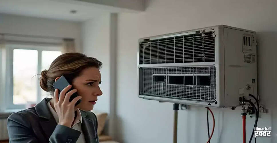 A Hilarious Encounter with a Parrot and a Mechanic