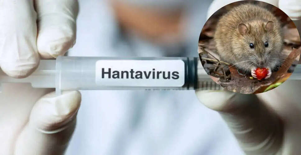 Hantavirus Outbreak on Dutch Cruise Ship: What You Need to Know
