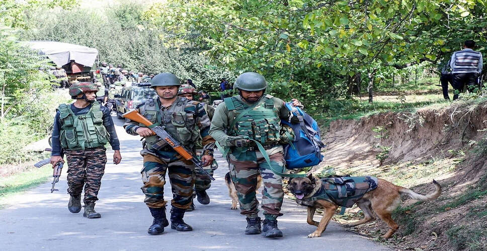 BSF Captures Pakistani Intruder Near Jammu and Kashmir Border