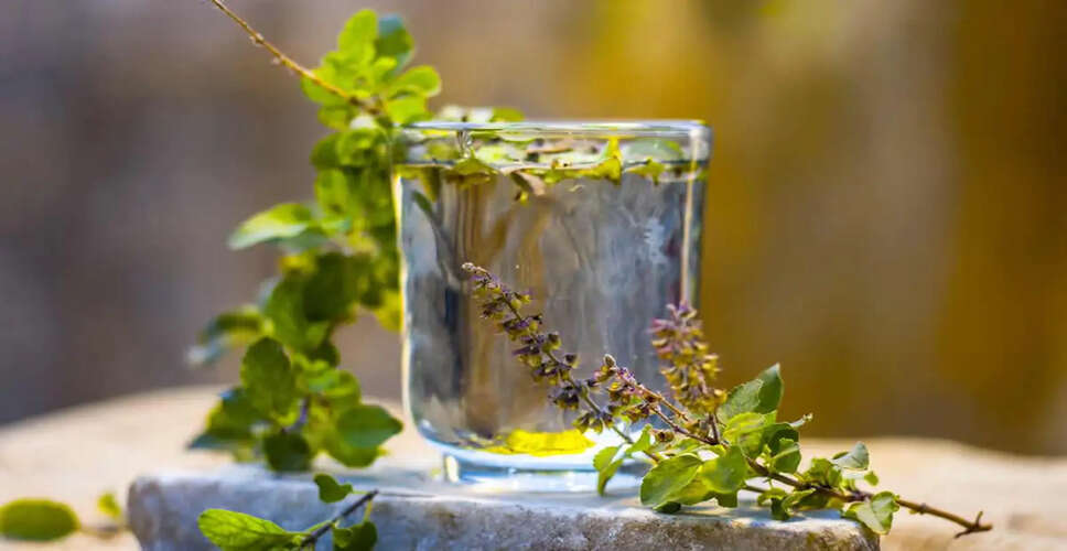 Discover the Ayurvedic Benefits of Homemade Tulsi Water