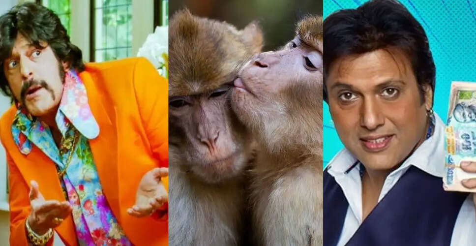 The Surprising Star of 'Aankhen': A Monkey Earned More Than Govinda and Chunky Pandey