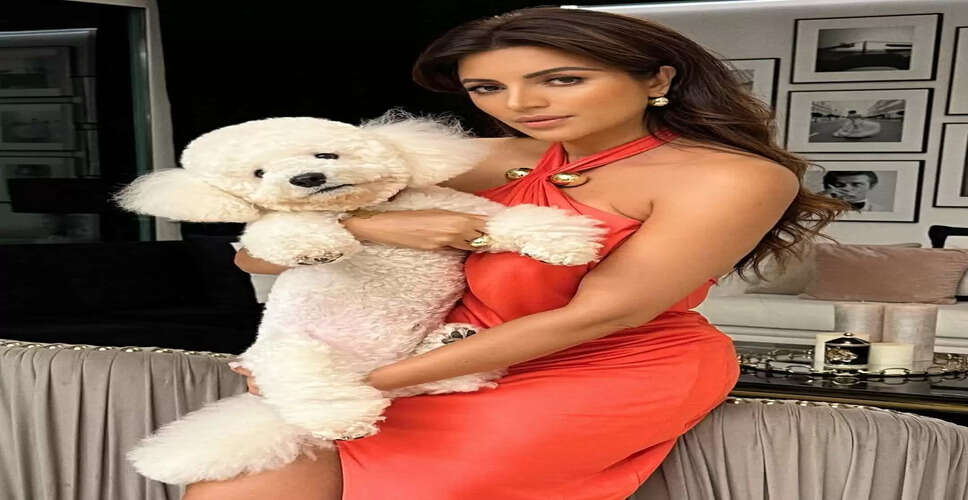 Shama Sikander Dazzles in Stunning Red Backless Dress on Instagram