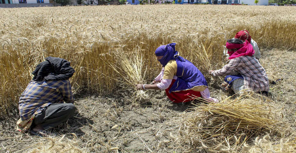 Rising Fuel Costs Threaten Food Security for Filipino Farmers Amid Iran Conflict