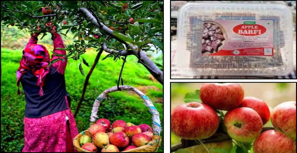 Innovative Apple Barfi from Himachal Pradesh Gains Popularity