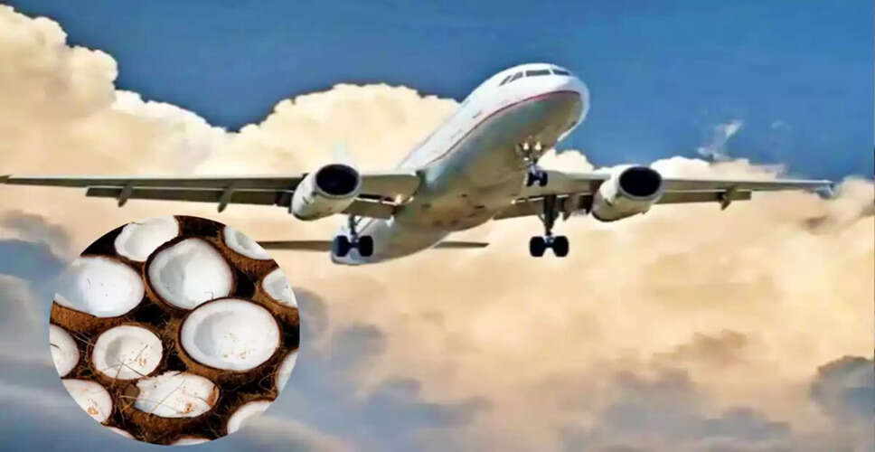 Why You Can't Bring Coconuts on a Plane: Understanding Airline Restrictions