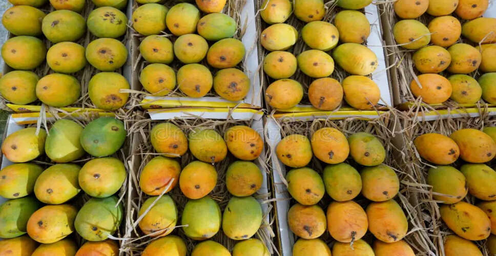 Nepal's Mango Import Ban: A Boon for Local Farmers or Recipe for Shortages?
