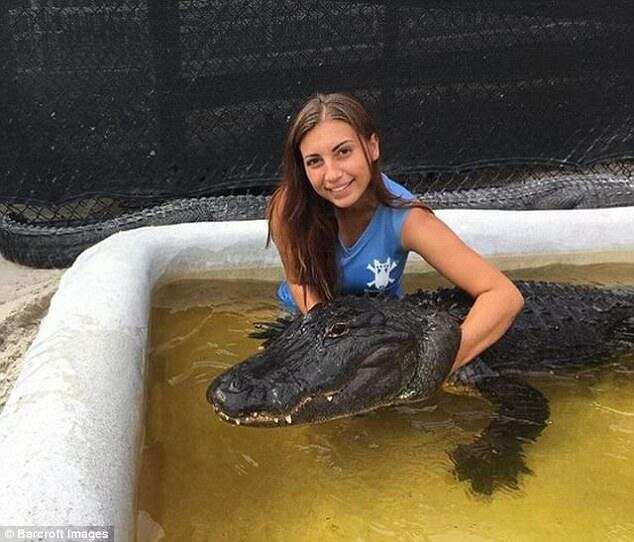 Gabby Scampone ,Has Become The Internet Sensation,For Her Photos of Kissing Alligators