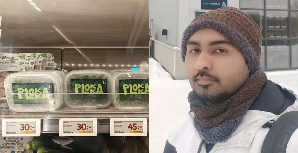 Indian Entrepreneur Exits Sweden Amid Hostile Immigration Policies