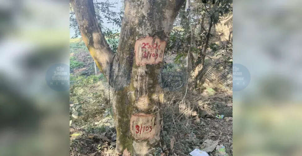 Environmental Concerns Rise Over Elevated Railway Corridor Near Deepor Beel