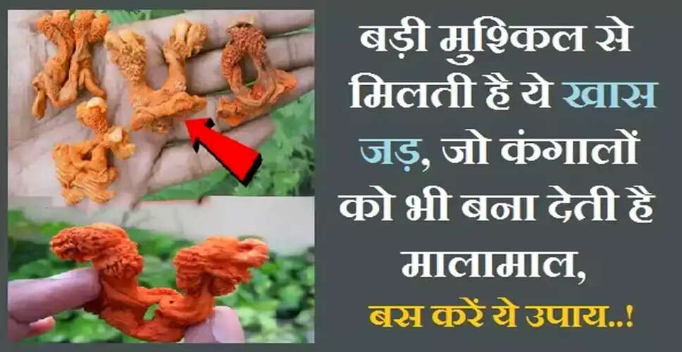 The Mystical Hatha Jodi Root: A Treasure from Madhya Pradesh