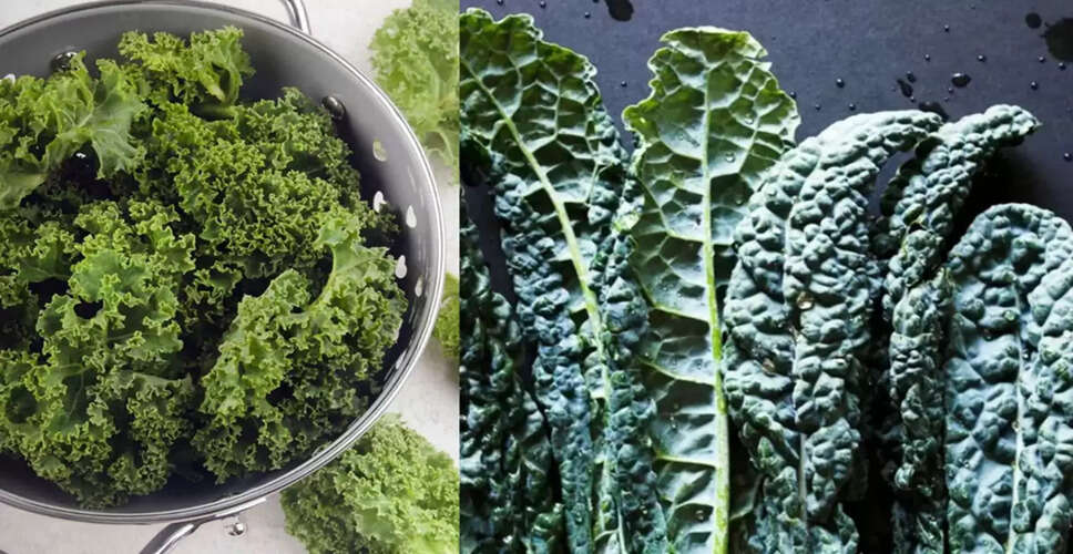 Unlocking the Health Benefits of Kale: A Nutritional Powerhouse