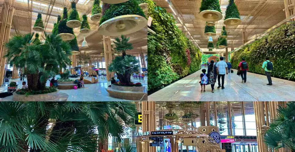 Worm Discovered in Food at Bengaluru Airport Cafe Sparks Outrage