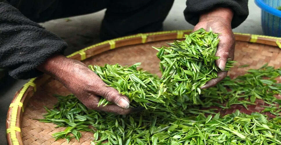 Concerns Rise Among Tea Exporters Due to West Asia Conflict