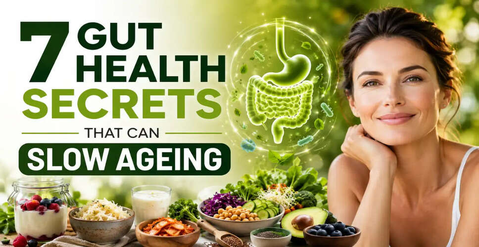 Unlocking the Secrets to Healthy Ageing Through Gut Health
