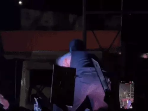 Concert Incident Sparks Debate on Parenting and Social Media Responsibility