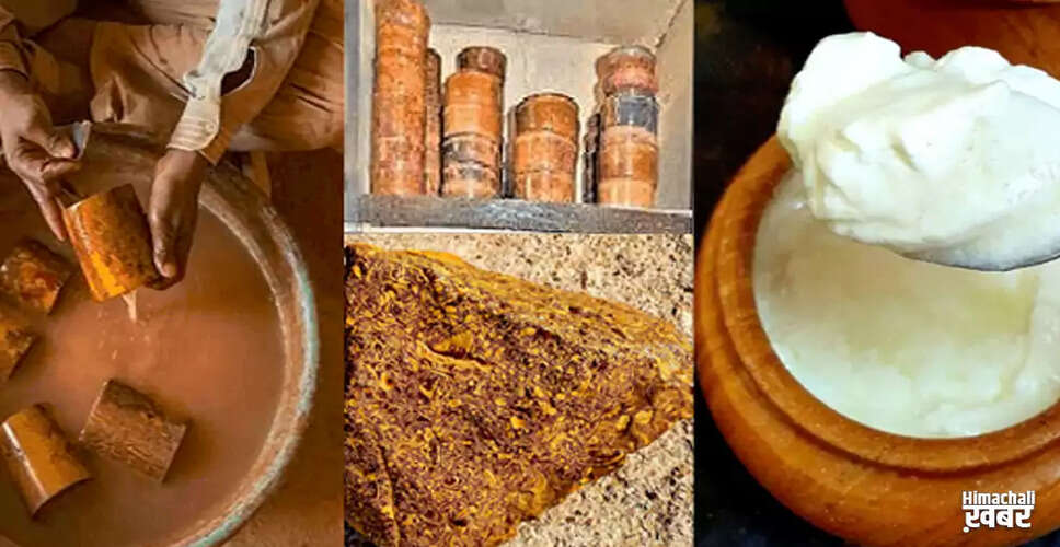The Enigmatic Stone of Jaisalmer: Transforming Milk into Curd
