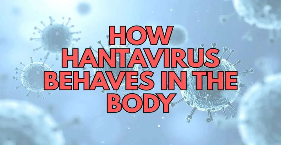 Understanding the Hantavirus Outbreak: Risks and Implications