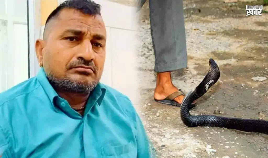 Farmer Bites Snake After Being Bitten in Banda, Uttar Pradesh