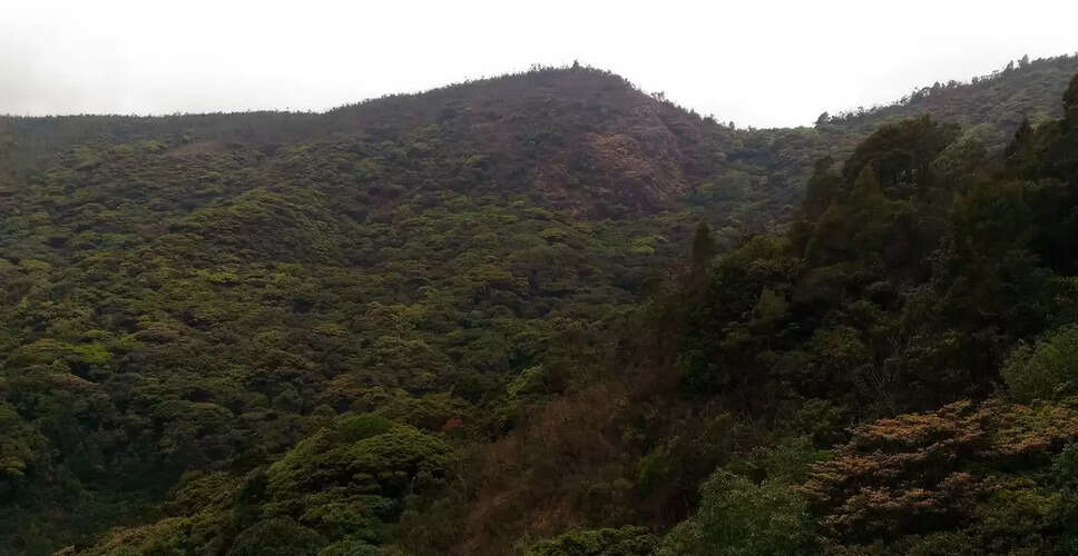 Supreme Court Questions Uttarakhand Government Over Forest Land Encroachment