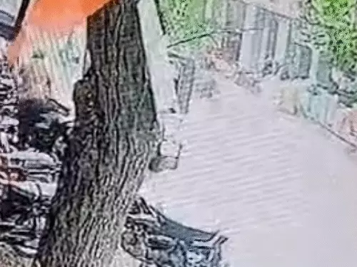 Major Road Accident in Deoli, Rajasthan: Bus Collides with Mahindra Thar