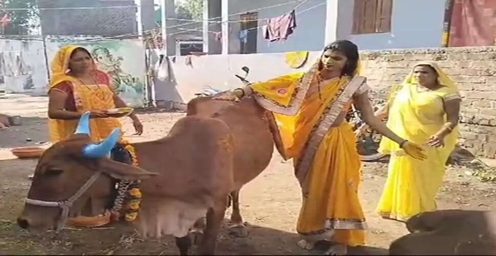 Celebrating Diwali: A Unique Tradition of Honoring Animals in Madhya Pradesh